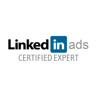 LinkedIn Ads Expert