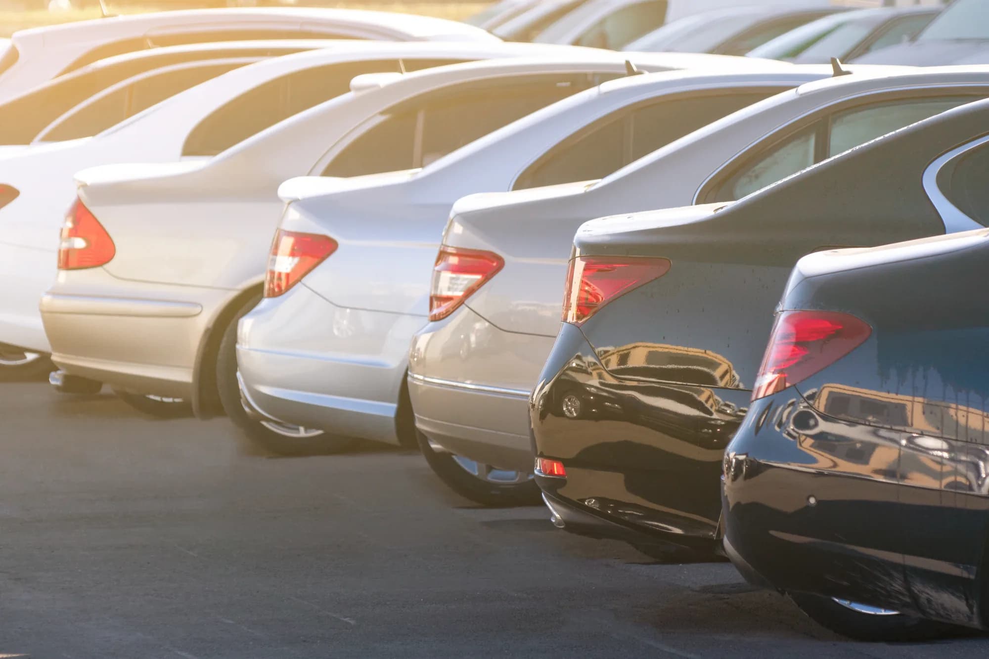 A row of cars parked in a dealership lot