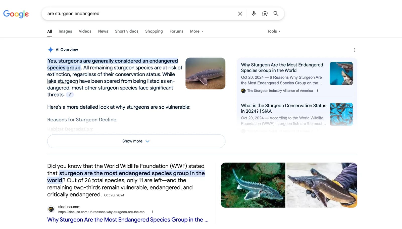 Google results for “are sturgeon endangered” with an AI Overview citing two Sturgeon Industry Alliance of America articles, and a featured snippet from siaausa.com